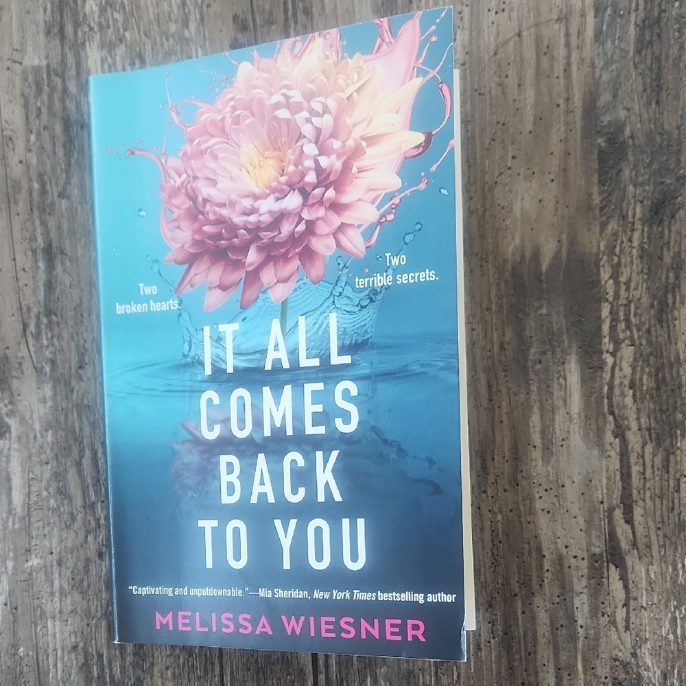 3/$13 or 4/$16 It All Comes Back to You by Melissa Wiesner